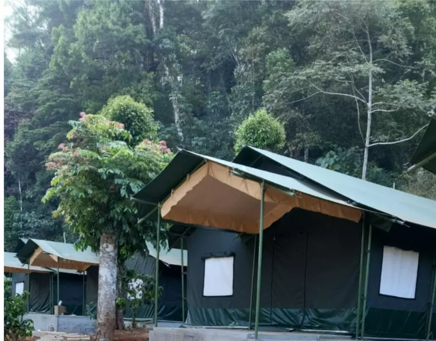 A luxurious tent, perfect for 3 by GuestHouser coorg