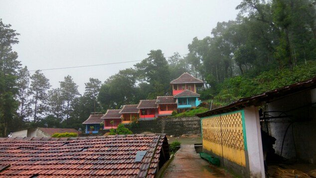 Coorg Mountain Mist