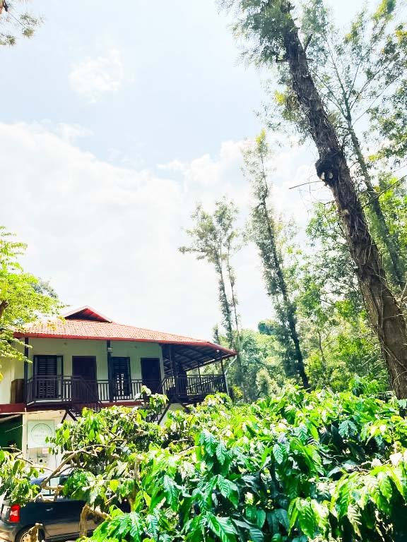 THE MASCARA – Home stay @ coorg